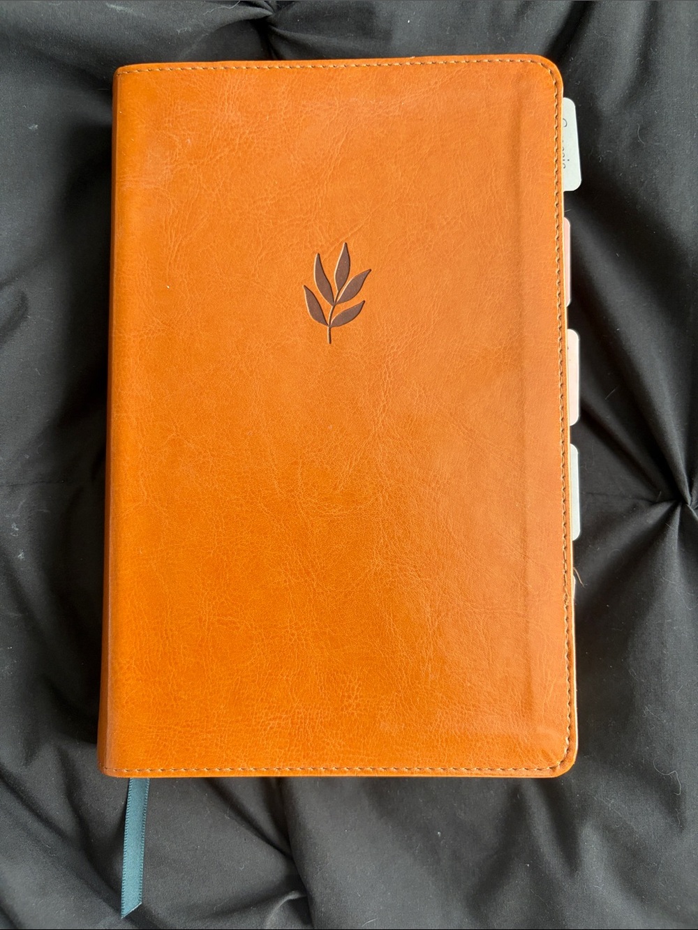 Day Spring NLT Bible